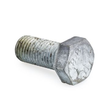 Singular Galvanised Long Bolt