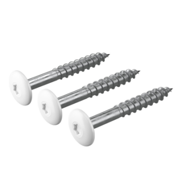 Hardie® Panel Colour Head Screw for Timber - Actic White
